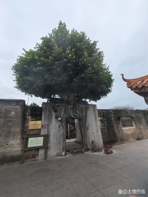 揭阳西岐古村,东寨门,古寨吉祥之门.门上贴满"麒麟到此","凤凰于归"